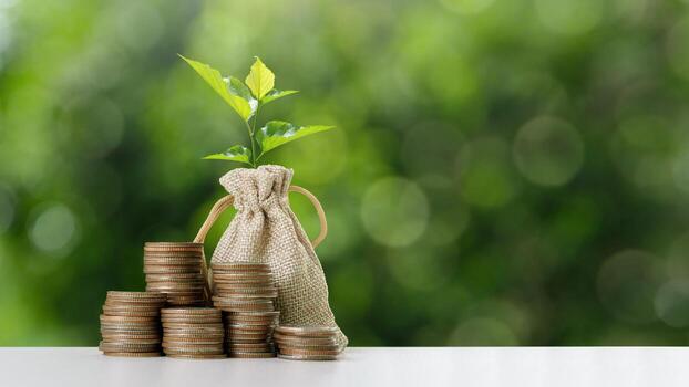 Why an Emergency Fund Is the Foundation of Financial Security